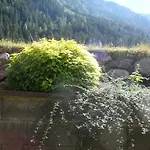 Alpenecho *