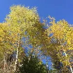 Alpenecho Нойштифт-им-Штубайталь