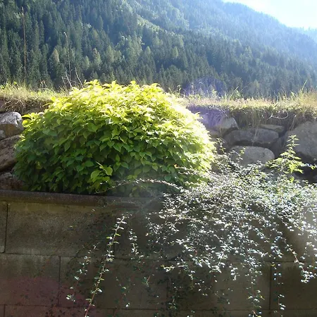 Alpenecho *