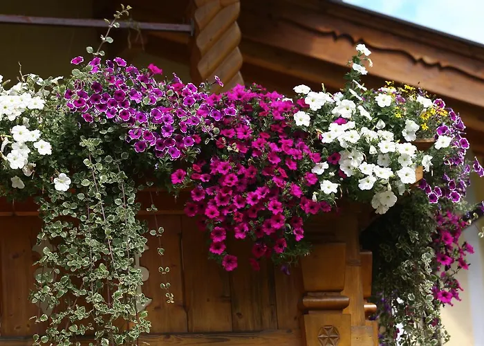 Alpenecho Neustift im Stubaital