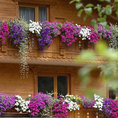 Appartement Alpenecho