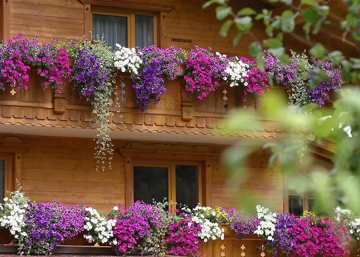 Appartement Alpenecho