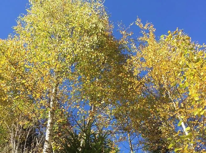 Alpenecho Neustift im Stubaital